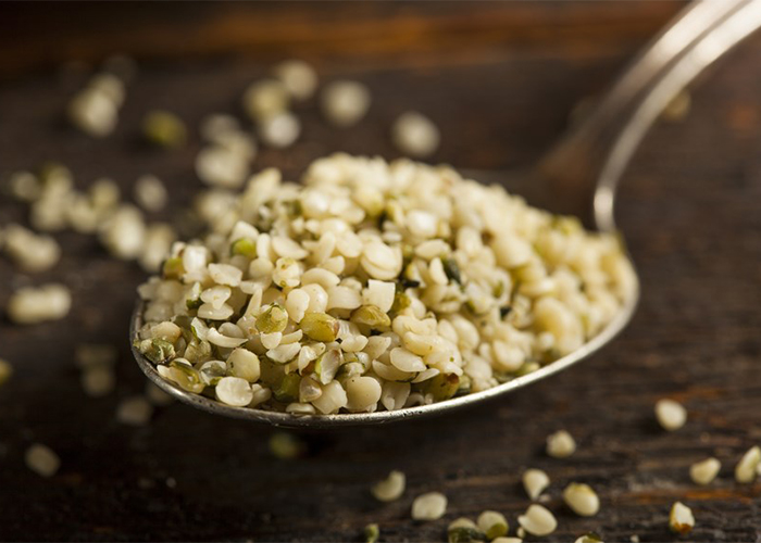 Kenevir tohumlarının eşsiz nitelikleri Kenevir tohumlarının eşsiz nitelikleri