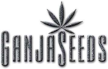 GanjaSeeds tohum bankası markası GanjaSeeds tohum bankası markası