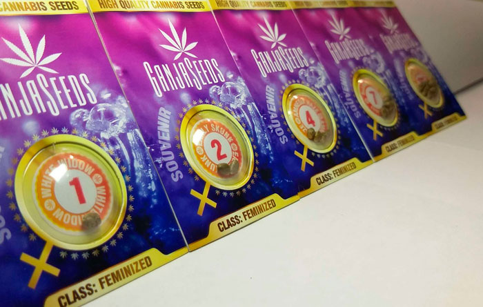 Ganjaseeds tohum bankasından kenevir tohumu