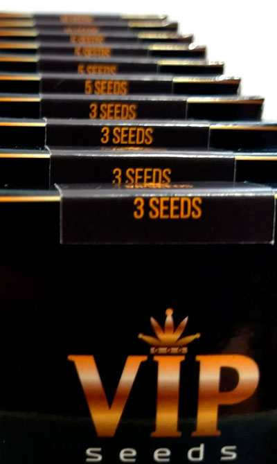 GanjaVIP tohum bankasından kenevir tohumu GanjaVIP tohum bankasından kenevir tohumu