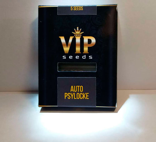 GanjaVIP tohum bankasından kenevir tohumu GanjaVIP tohum bankasından kenevir tohumu