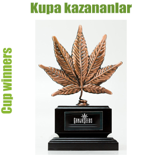 Kupa kazananlar Kupa kazananlar
