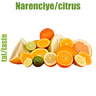 Narenciye