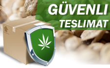 Güvenli kenevir tohumu teslimatı