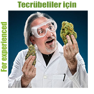Tecrübeliler için Tecrübeliler için