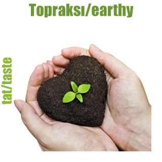 Topraksı