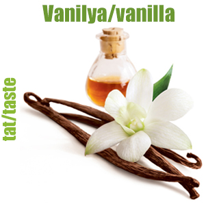 Vanilya Vanilya