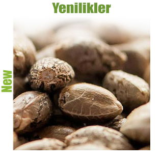 Yenilikler