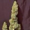 Auto New York Diesel feminised Ganja Seeds Eve teslim kenevir tohumları